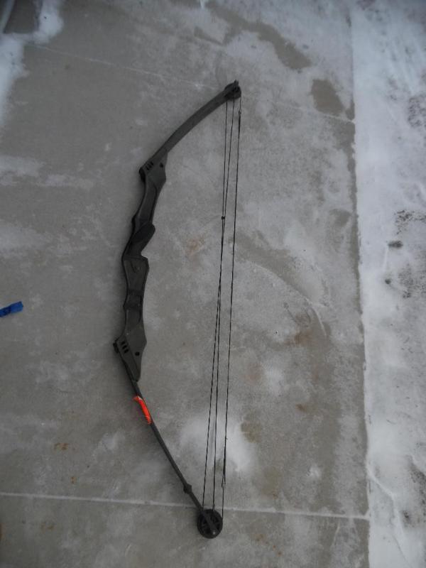 lot 12 image: Compound Bow