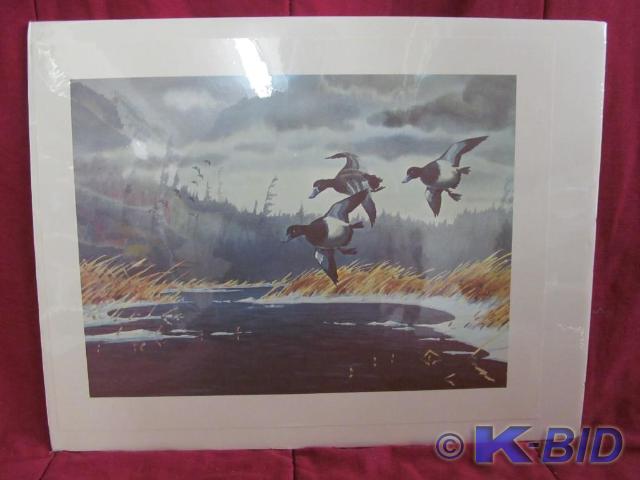 Les Kouba&nbspBluebill Duck Print ...
