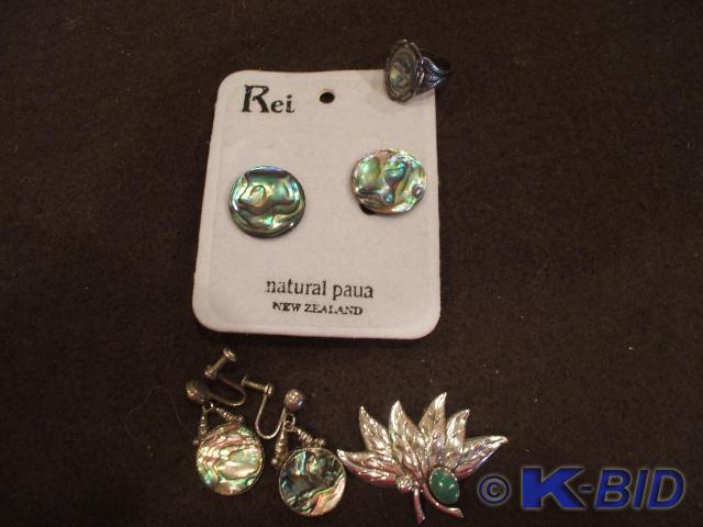 A pair of Paua abalone earrings fro...