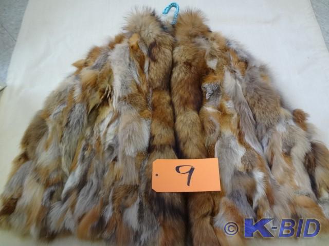 Multicolored Fox() Jacket
