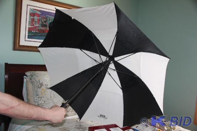 lot 220 image: Black and White, Umbrella