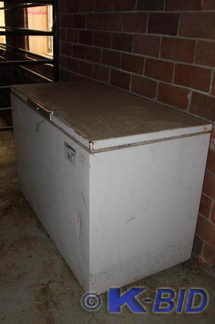 lot 80 image: Freezer, 56 L x 30 W x 30 H