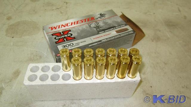 300 Win Mag bullets