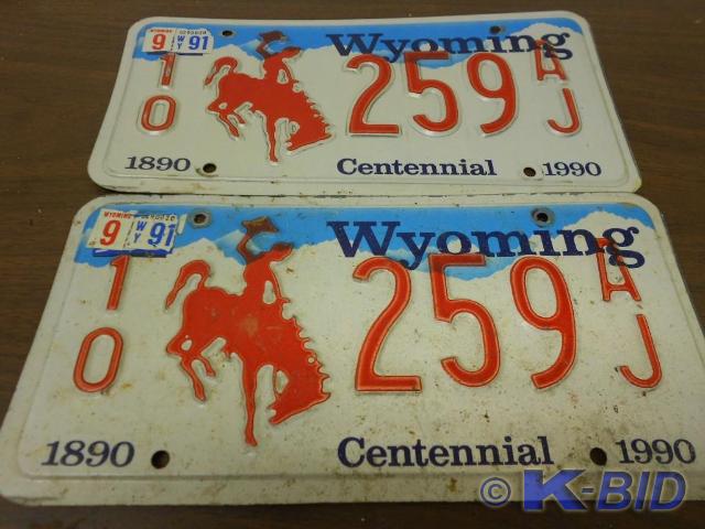 lot 10 image: 1990 VintageAntique License Plates...