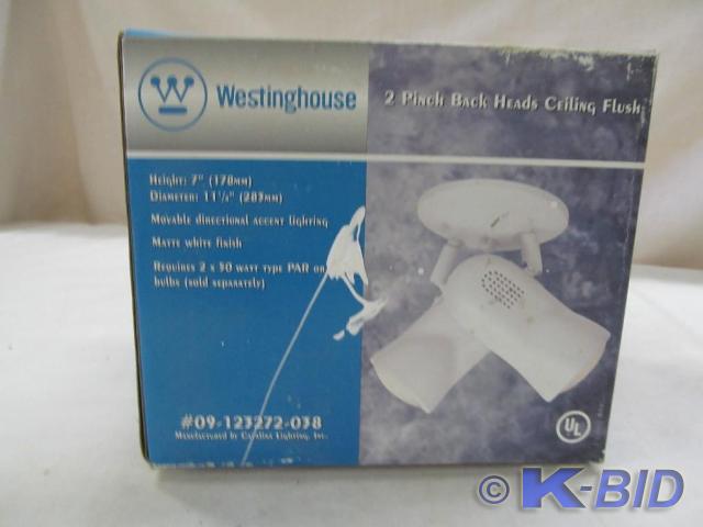 Westinghouse 2 Pinch Back Ceiling F...