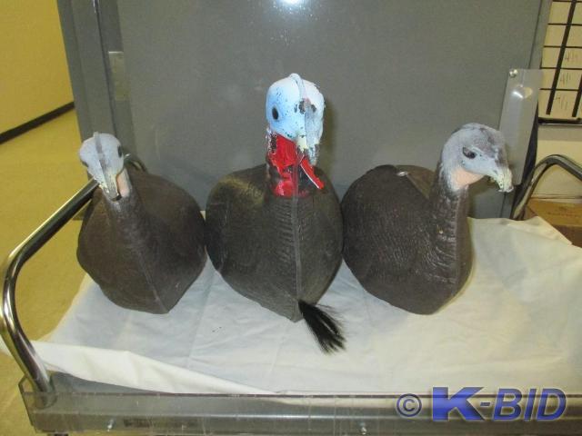 3 Turkey Decoys