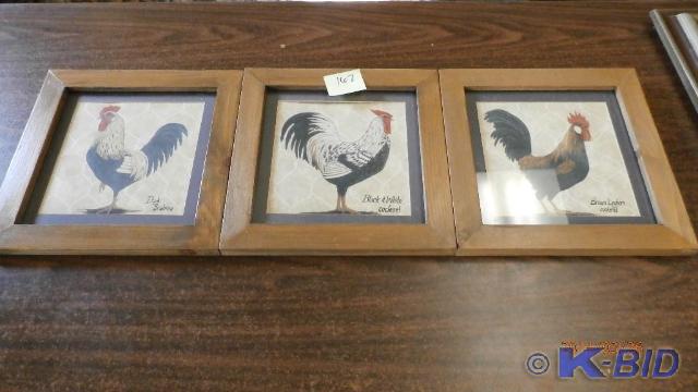 3 Chicken Pictures