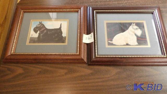 2 Scottish Terrier Pictures