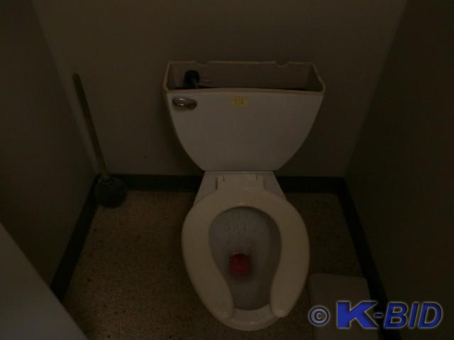 2 Handicap Bathroom Bars Buyers Mus...