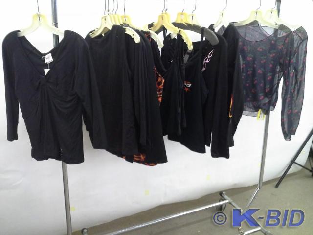 Ladies topsshirts, assorted styles...