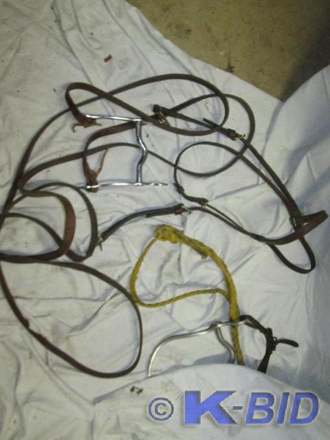 lot 267 image: Lot of horse equestrian bridles