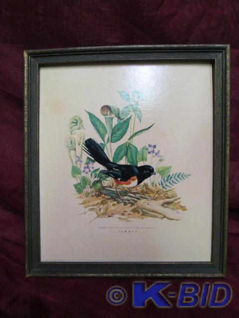 lot 84 image: Towhee Roger Tory Peterson print f...