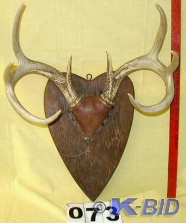 lot 73 image: Set of Vintage Eight Point Whitetai...