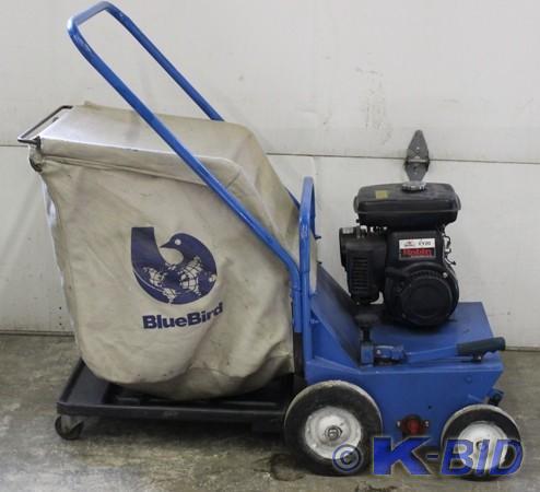 Bluebird Dethatcher Robin EY20 En...