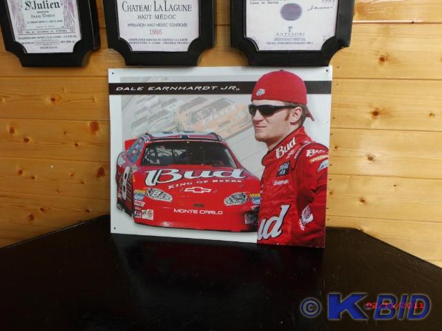NASCAR #8 Dale Earnhardt&nbspJr - ...