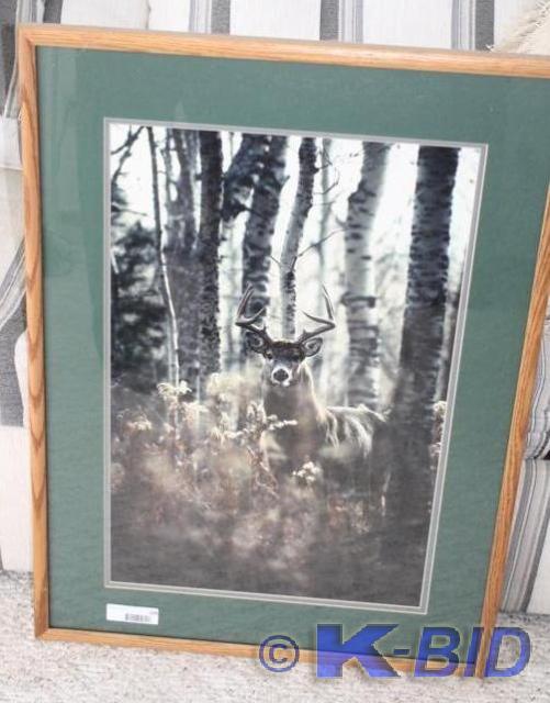 lot 105 image: Framed photo of a deer 23x30